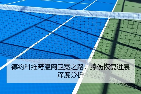 德约科维奇温网卫冕之路：膝伤恢复进展深度分析