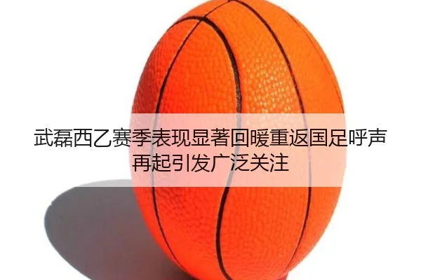 wu-lei-xi-yi-sai-ji-biao-xian-xian-zhu-hui-nuan-chong-fan-guo-zu-hu-sheng-zai-qi-yin-fa-guang-fan-guan-zhu-3-416.jpg