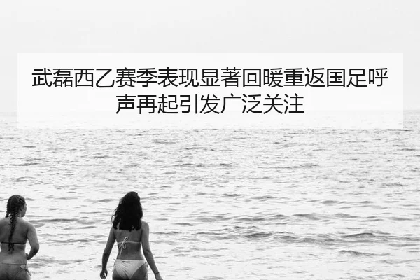武磊西乙赛季表现显著回暖重返国足呼声再起引发广泛关注