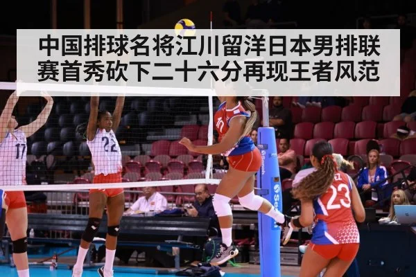 japanese volleyball league match